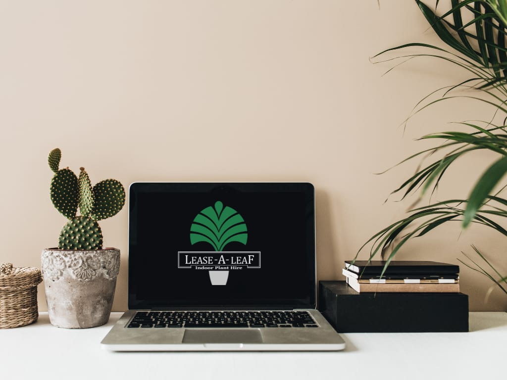 Indoor plants Sydney, Plant hire services, Indoor plants Sydney, desktop plants