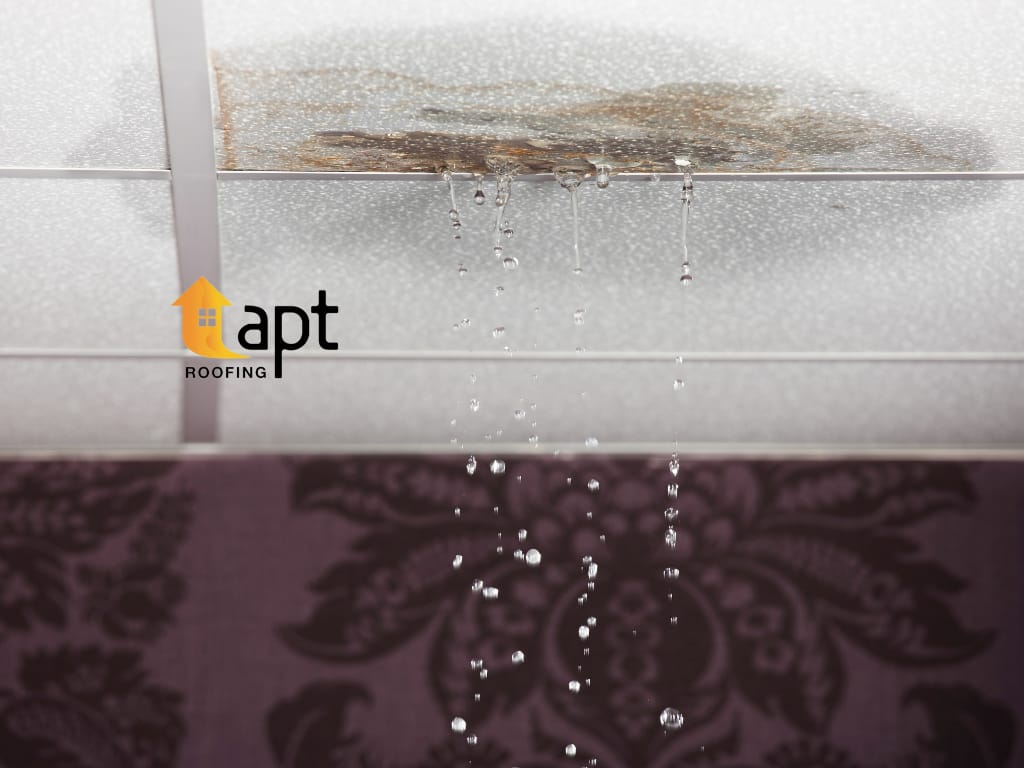 Roof Repair in North Shore, roof tiles, roof leak repair