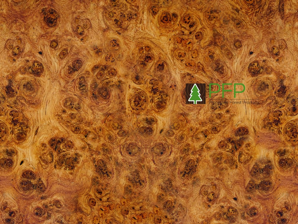 burl veneer
