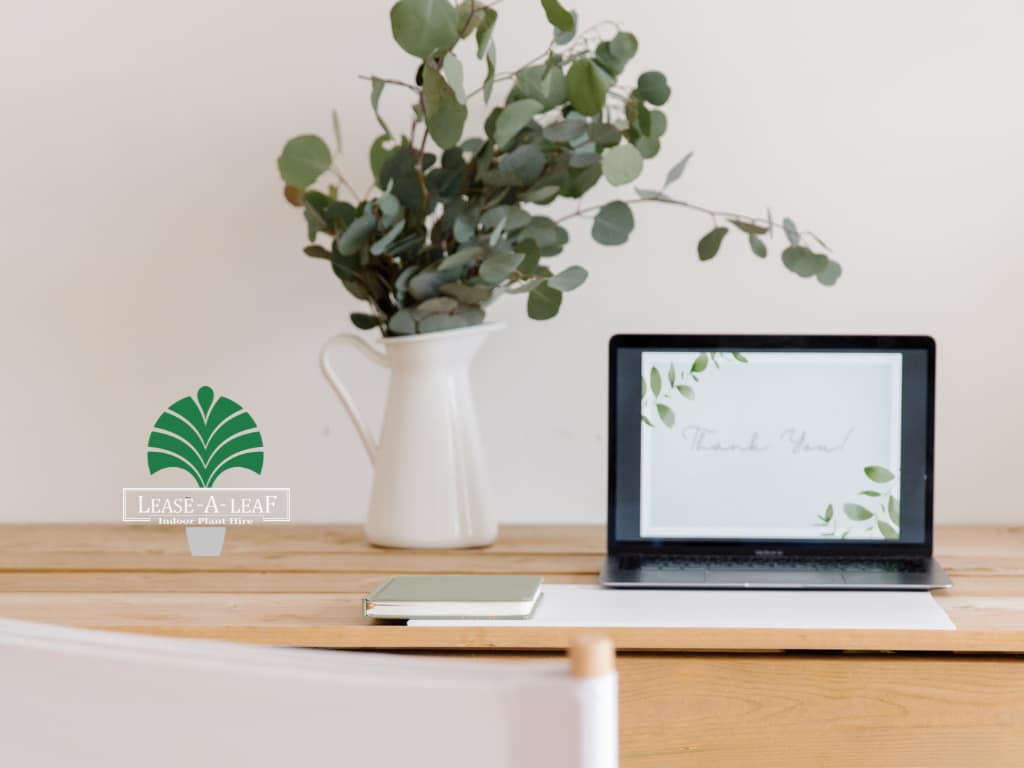 North Ryde Indoor Plant Hire