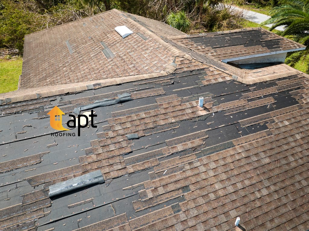 Roof Maintenance in North Shore