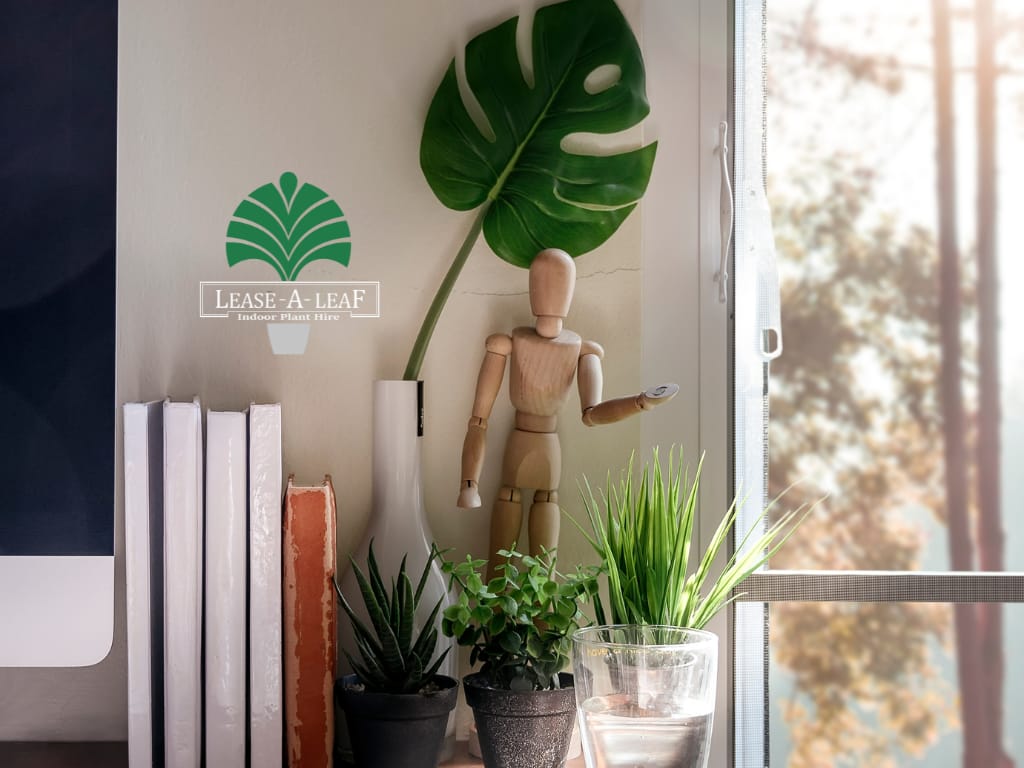 Hire plants, Indoor plant hire, hire Terrazzo cube planters, hire Leyland Cypress plant, Plant hire, Short term plant hire, desktop plants