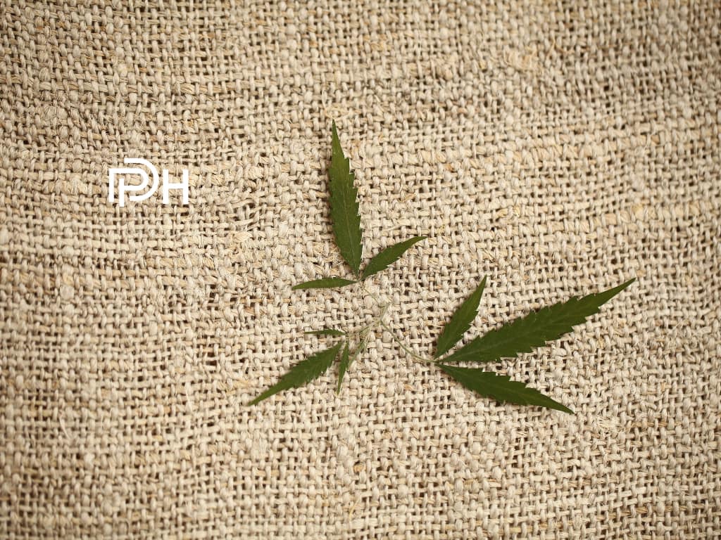 eco friendly textiles, hemp fabric, hemp based fabric, environmentally friendly textiles, hemp clothes australia, sustainable fabrics textiles