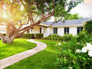 Lawn and Landscaping