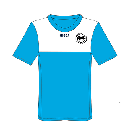 VIPERS JNR TRAINING TEE - BREMEN SKY BLUE